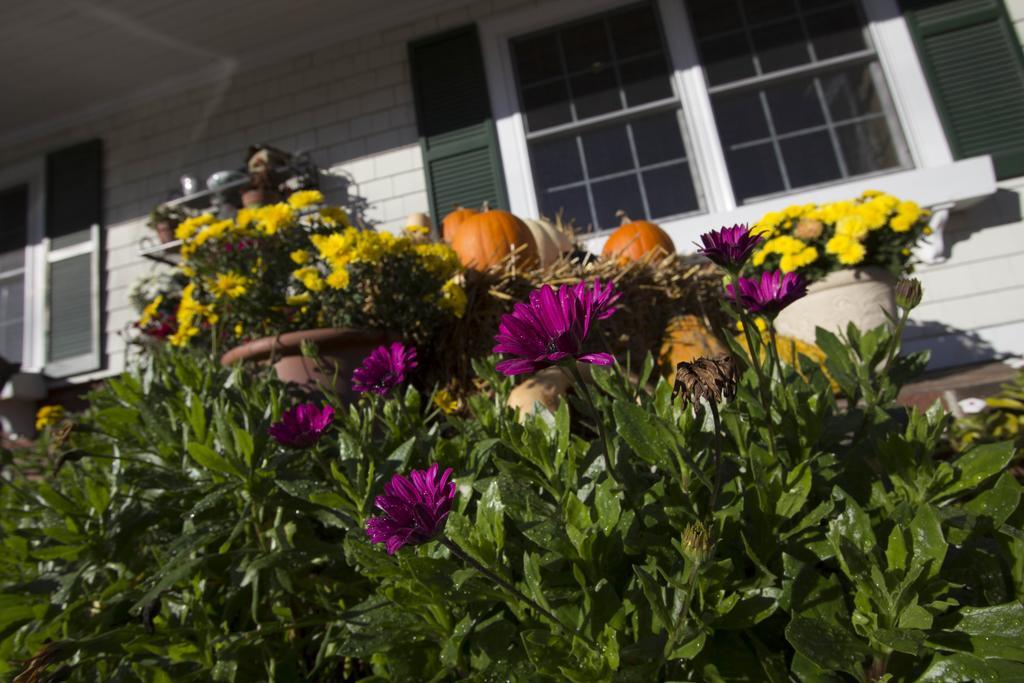 Golden Gables Inn North Conway Extérieur photo